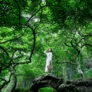邓山观星小镇-古榄园 - 广州市旅游 缩略图 9