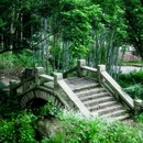 邓山观星小镇-古榄园 - 广州市旅游 缩略图 8