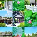 泰州梅园 - 泰州市旅游 缩略图 1