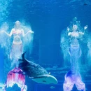 襄阳奇幻谷 - 襄阳市旅游 缩略图 4