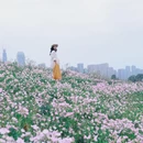 秀丽东方[公交站] - 成都市旅游 缩略图 3