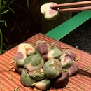 深圳世界之窗 - 深圳市旅游 缩略图 7