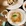 北京市·Papa Danilo达尼罗叔叔·意大利面(鼓楼店)