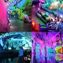 漓江景区 - 桂林市旅游 缩略图 4