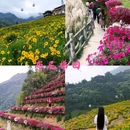 漓江景区 - 桂林市旅游 缩略图 3