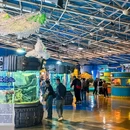 老虎滩极地海洋动物馆 - 大连市旅游 缩略图 2