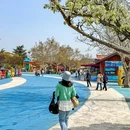 老虎滩极地海洋动物馆 - 大连市旅游 缩略图 5