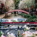 沙面岛 - 广州市旅游 缩略图 5