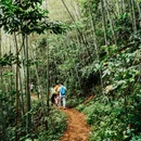 溪头旅游村景区 - 广州市旅游 缩略图 4