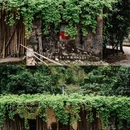 溪头旅游村景区 - 广州市旅游 缩略图 5