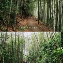 溪头旅游村景区 - 广州市旅游 缩略图 2