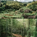 溪头旅游村景区 - 广州市旅游 缩略图 1