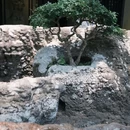 蜀冈瘦西湖风景名胜区 - 扬州市旅游 缩略图 5