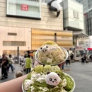 成都市植物园 - 成都市旅游 缩略图 7