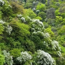 少华山潜龙寺景区 - 渭南市旅游 缩略图 8