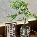 阿福幸食甜汤铺(泉城路直营店) - 济南市旅游 缩略图 8