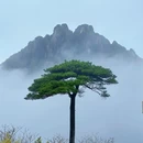 三清宫 - 松原市旅游 缩略图 3