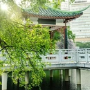 柳侯公园 - 柳州市旅游 缩略图 2