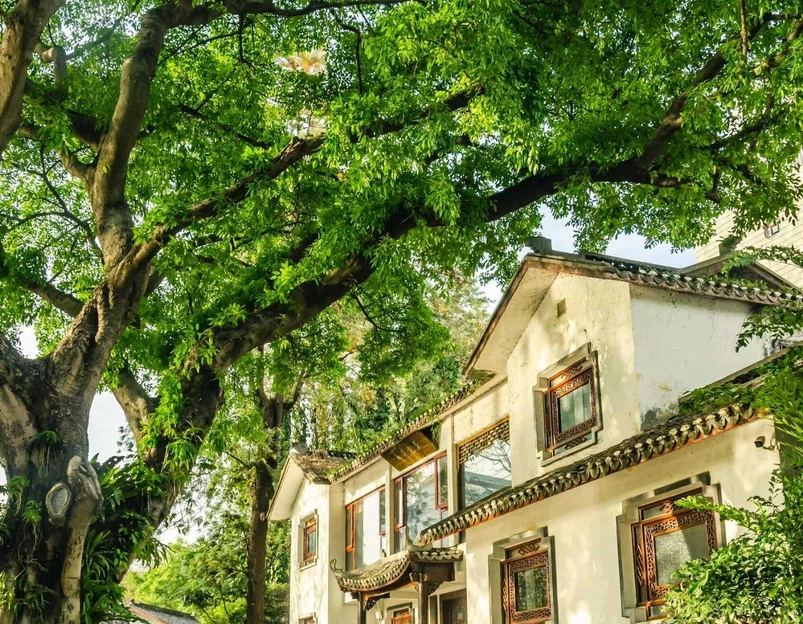 柳侯公园 - 柳州市旅游 1