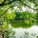柳侯公园 - 柳州市旅游 缩略图 7