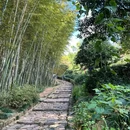 径山寺 - 杭州市旅游 缩略图 6