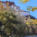 布达拉宫 - 拉萨市旅游 缩略图 5