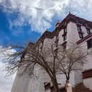 布达拉宫 - 拉萨市旅游 缩略图 6