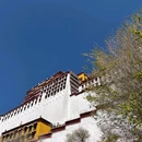 布达拉宫 - 拉萨市旅游 缩略图 7