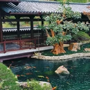 天河大观湿地公园-北门 - 广州市旅游 缩略图 2