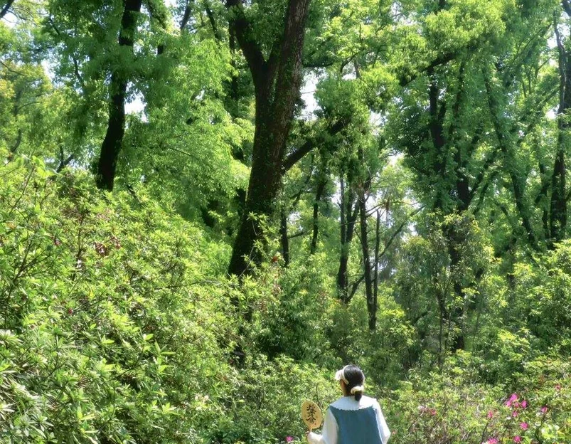 东湖磨山南门飞越丛林-临时门 - 武汉市旅游 1