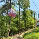 东湖磨山南门飞越丛林-临时门 - 武汉市旅游 缩略图 4