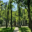 东湖磨山南门飞越丛林-临时门 - 武汉市旅游 缩略图 9