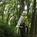 铁山坪森林公园 - 重庆市旅游 缩略图 2