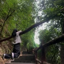 铁山坪森林公园 - 重庆市旅游 缩略图 5