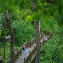 东湖磨山景区 - 武汉市旅游 缩略图 3