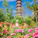 唐园 - 凉山彝族自治州旅游 缩略图 2