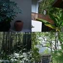 莫干山依山依水·设计师名宿 - 湖州市旅游 缩略图 8