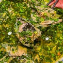 缘贡自贡菜·川菜馆(春熙路店) - 成都市旅游 缩略图 4
