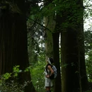西天目山风景区 - 杭州市旅游 缩略图 8