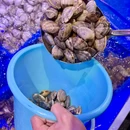 锦鹏海鲜烧烤大排挡(民主广场东港店) - 大连市旅游 缩略图 2