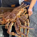 锦鹏海鲜烧烤大排挡(民主广场东港店) - 大连市旅游 缩略图 6