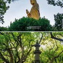 普陀山风景区 - 舟山市旅游 缩略图 3