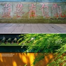 普陀山风景区 - 舟山市旅游 缩略图 4