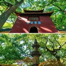 普陀山风景区 - 舟山市旅游 缩略图 5