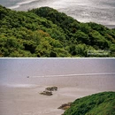 普陀山风景区 - 舟山市旅游 缩略图 8