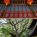 普陀山风景区 - 舟山市旅游 缩略图 6