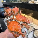 大民海鲜.天津菜(徐州道店) - 天津市旅游 缩略图 1