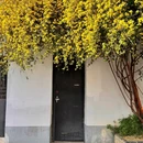 网师园 - 苏州市旅游 缩略图 7