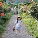 上房园艺·梦花源 - 上海市旅游 缩略图 2
