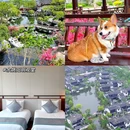 太阳岛旅游度假区 - 上海市旅游 缩略图 3